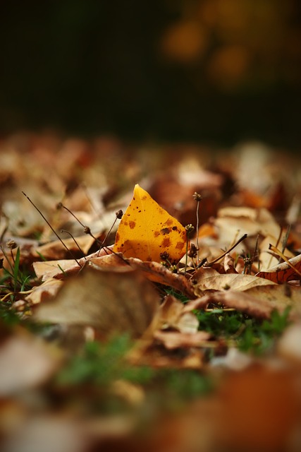 不整的条件 不整的条件
