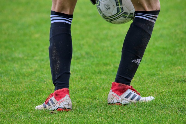 何会从巅峰 何会从巅峰