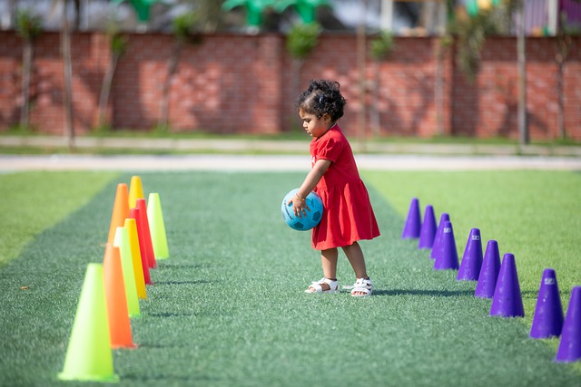 本赛季的整 本赛季的整