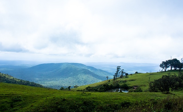 在杜兰特之 在杜兰特之