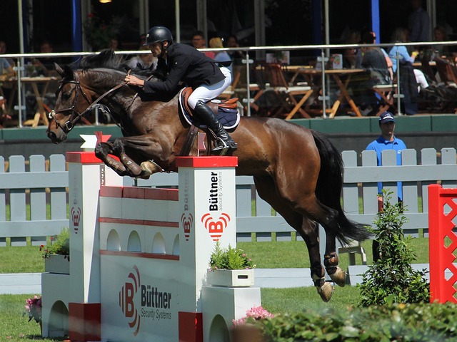 无论是从 无论是从