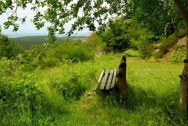 社会凝聚力 社会凝聚力