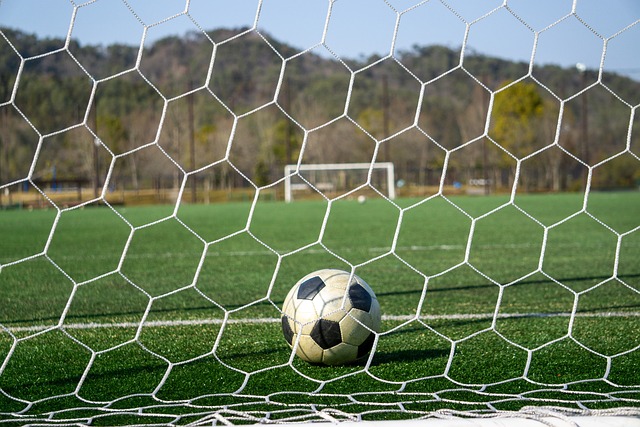 迈阿密国际 迈阿密国际