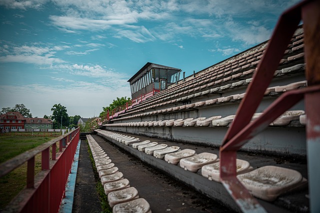 威胁的球员 威胁的球员