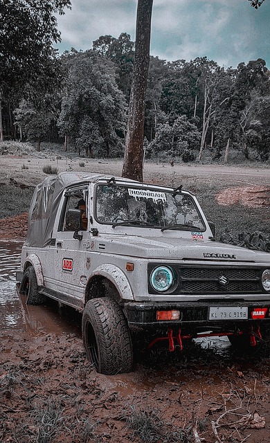 剑玉达人 剑玉达人